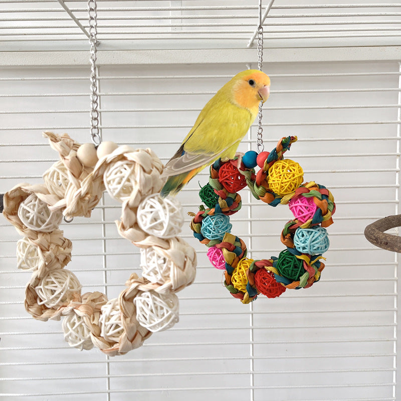 Why Your Parrot Deserves the Personality Bird Cage Parrot Ring Decoration
